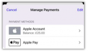 Apple Payment
